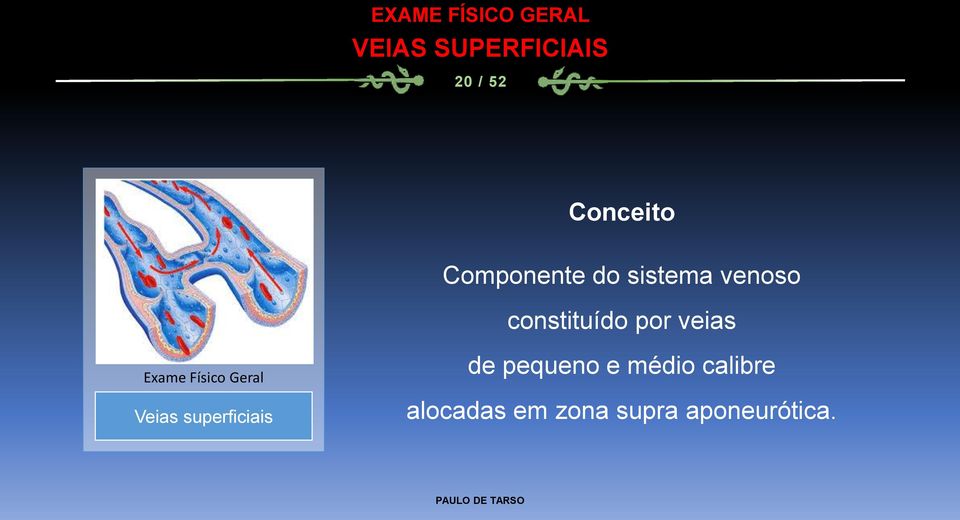 Físico Geral Veias superficiais de pequeno e