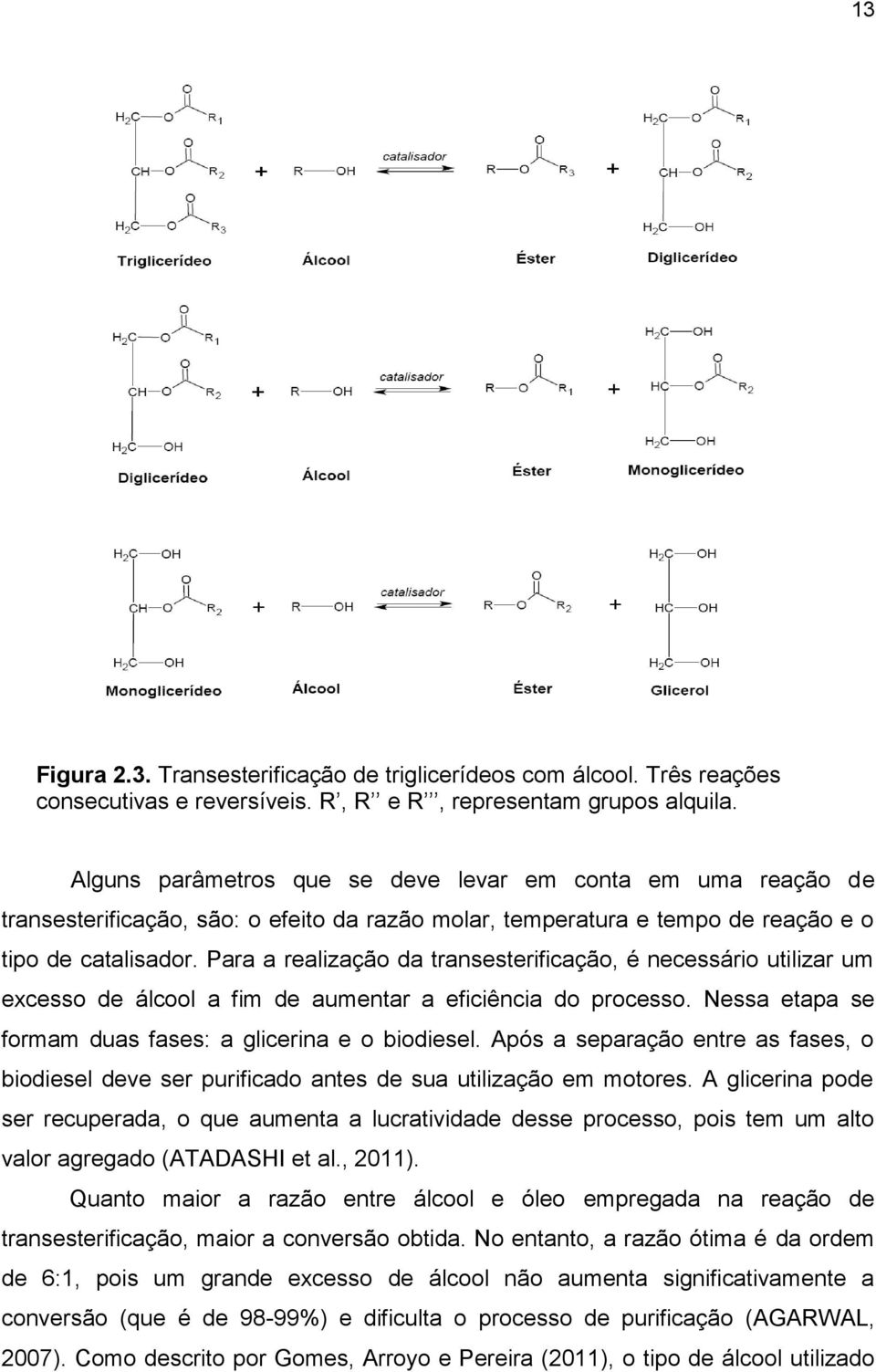 Para a realização da transesterificação, é necessário utilizar um excesso de álcool a fim de aumentar a eficiência do processo. Nessa etapa se formam duas fases: a glicerina e o biodiesel.