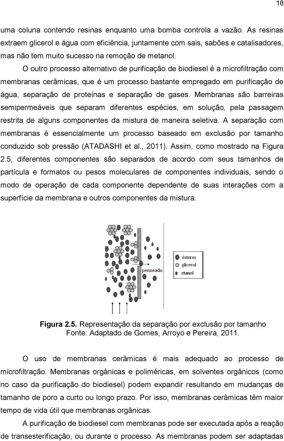 O outro processo alternativo de purificação de biodiesel é a microfiltração com membranas cerâmicas, que é um processo bastante empregado em purificação de água, separação de proteínas e separação de