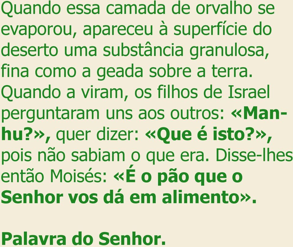 Quando a viram, os filhos de Israel perguntaram uns aos outros: «Manhu?