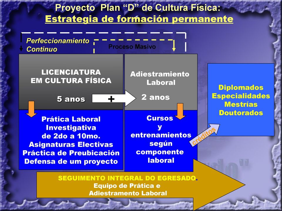 Asignaturas Electivas Práctica de Preubicación Defensa de um proyecto Adiestramiento Laboral 2 anos Cursos y