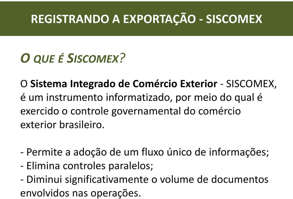 qual é exercido o controle governamental do comércio exterior brasileiro.