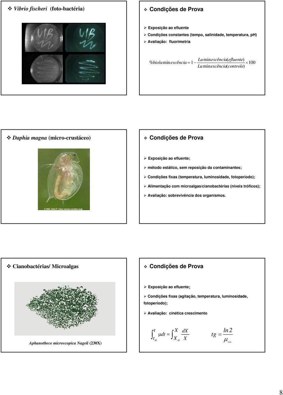 (temperatura, luminosidade, fotoperíodo); Alimentação com microalgas/cianobactérias (níveis tróficos); Avaliação: sobrevivência dos organismos.