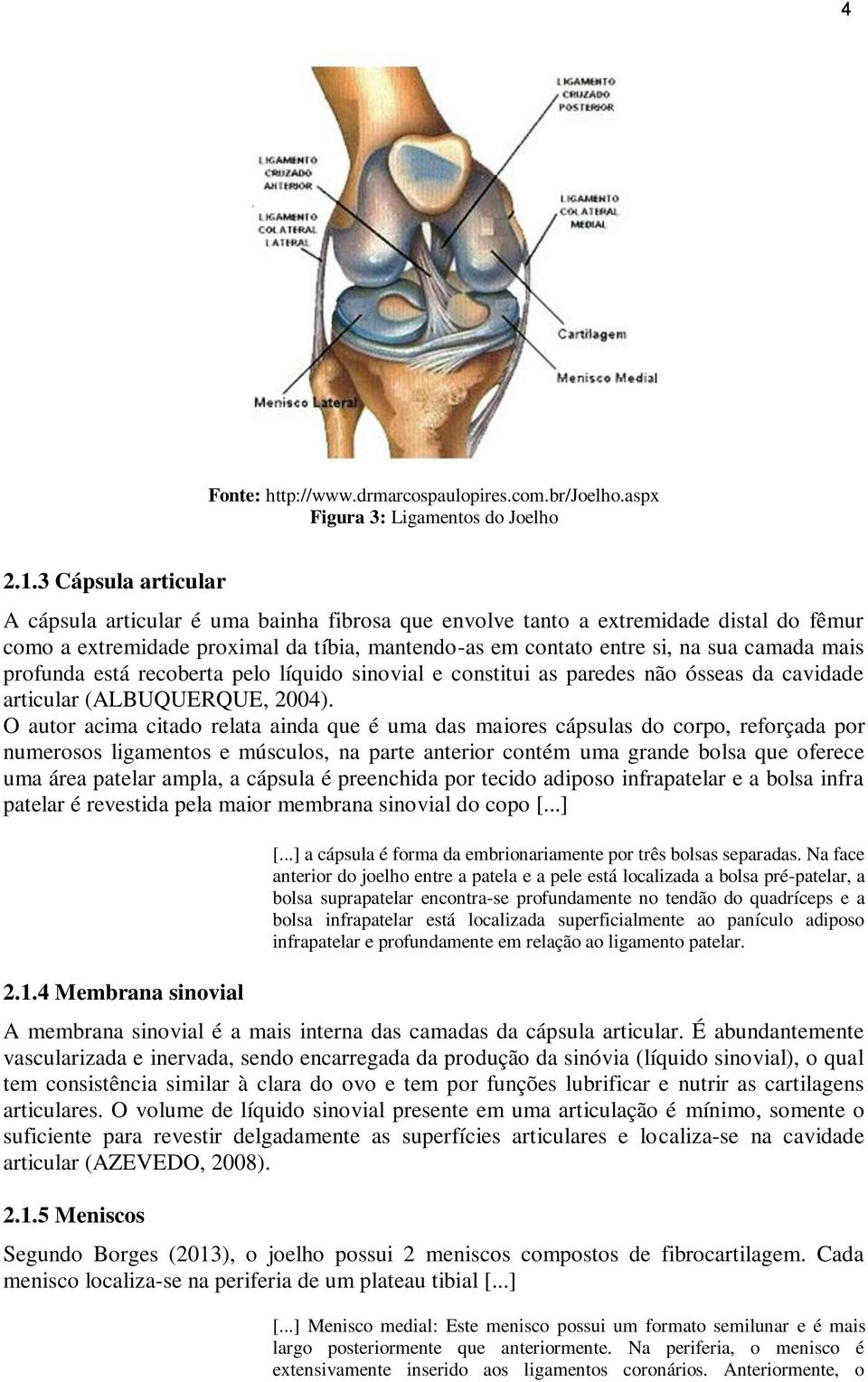 profunda está recoberta pelo líquido sinovial e constitui as paredes não ósseas da cavidade articular (ALBUQUERQUE, 2004).