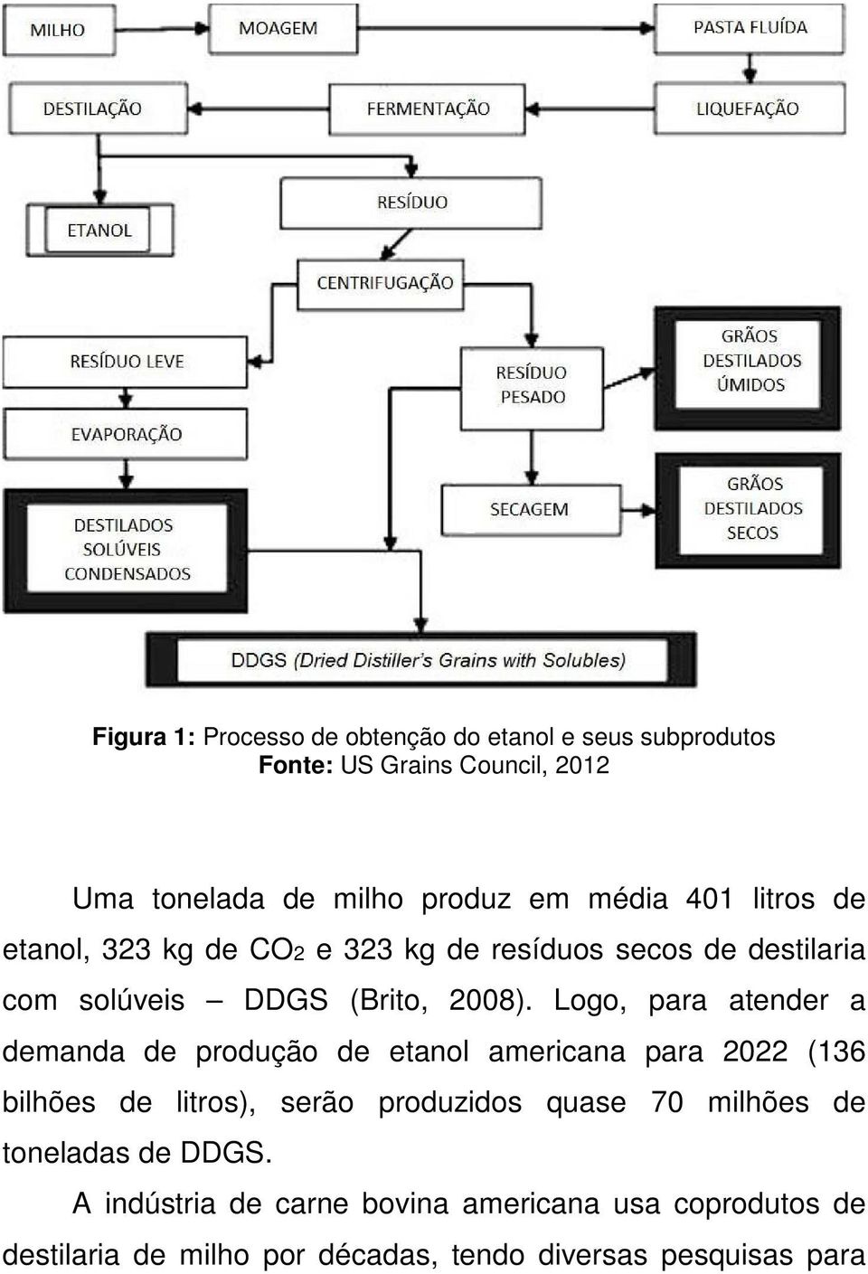 Logo, para atender a demanda de produção de etanol americana para 2022 (136 bilhões de litros), serão produzidos quase 70