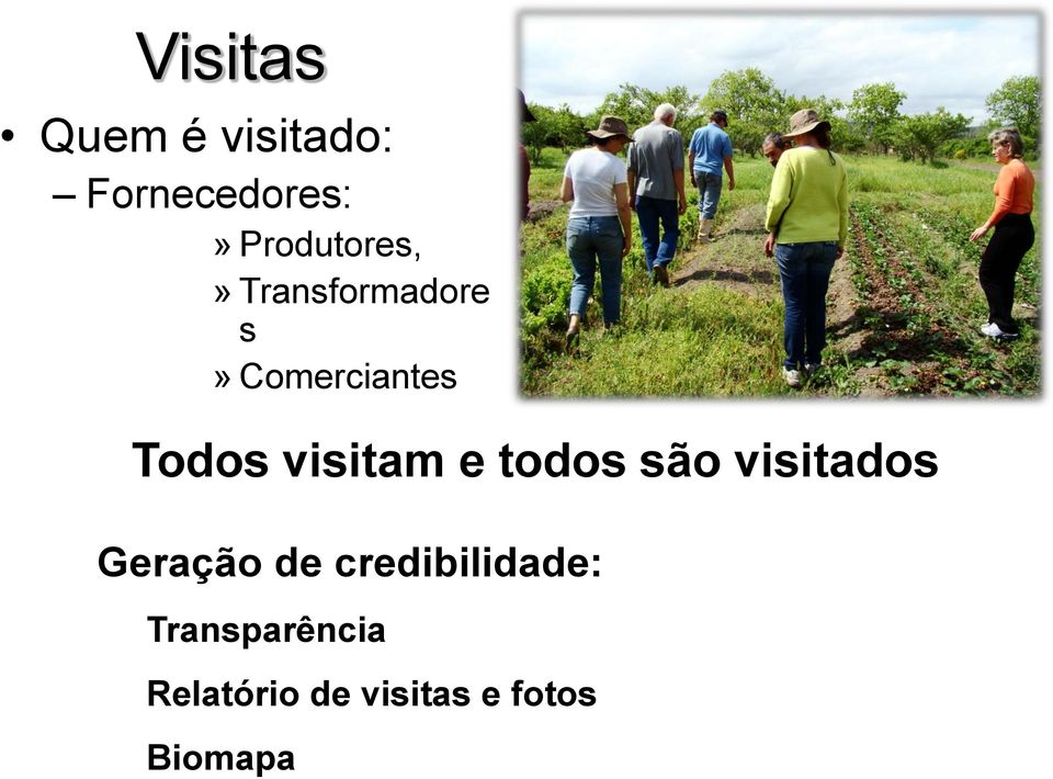 Todos visitam e todos são visitados Geração de