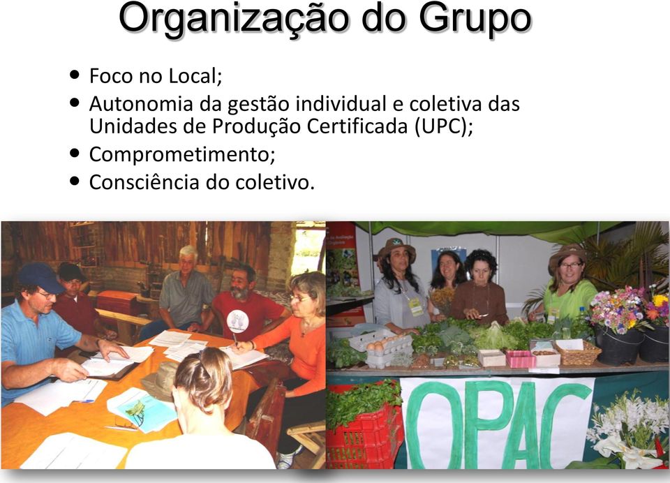 coletiva das Unidades de Produção