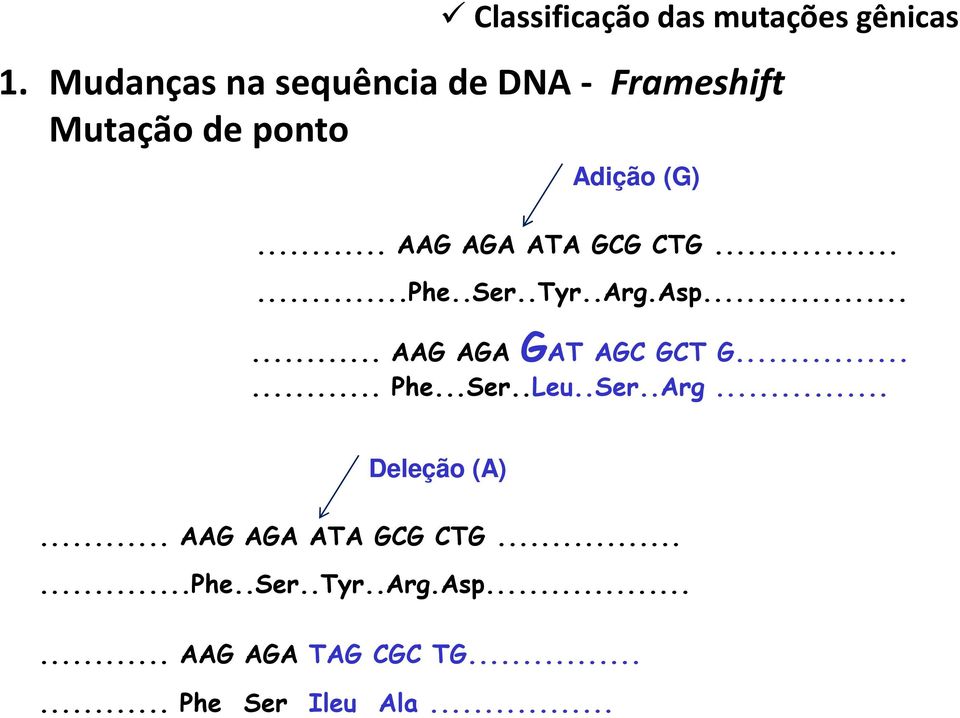 .. AAG AGA ATA GCG CTG......Phe..Ser..Tyr..Arg.Asp...... AAG AGA GAT AGC GCT G...... Phe.