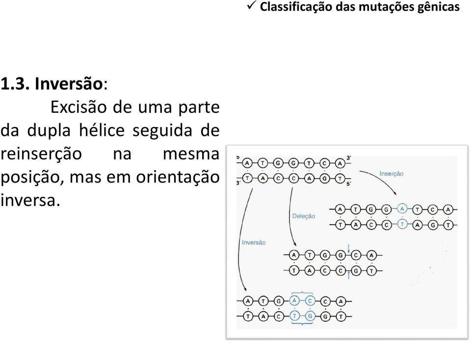 dupla hélice seguida de reinserção na