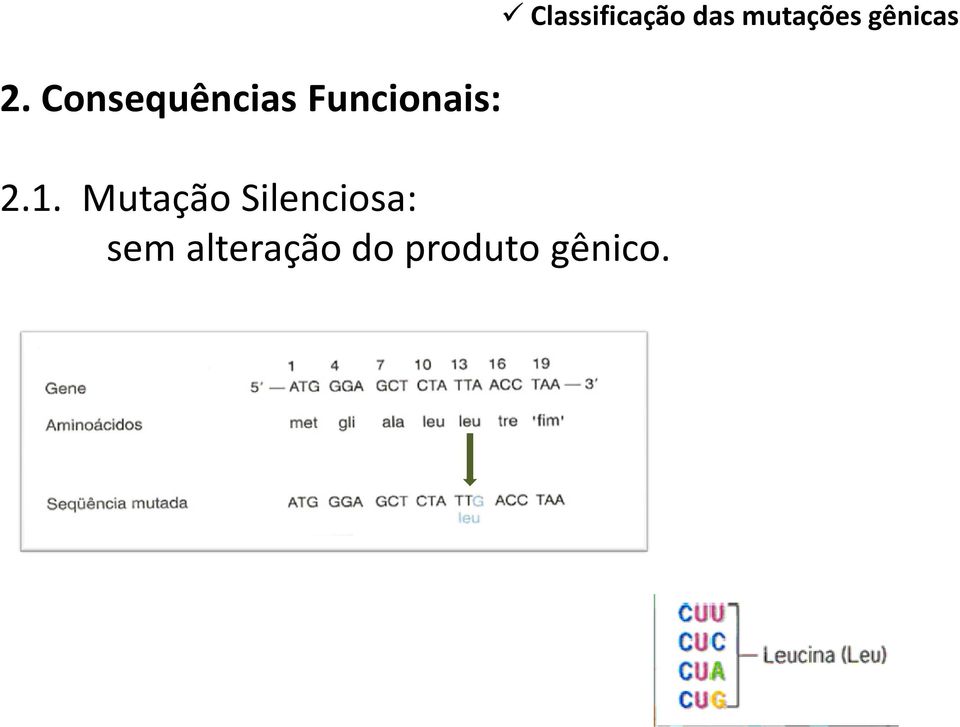 alteração do produto gênico.