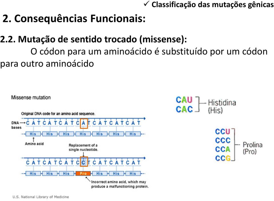 2. Mutação de sentido trocado(missense):