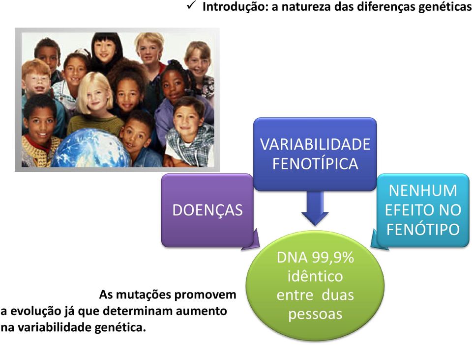 na variabilidade genética.