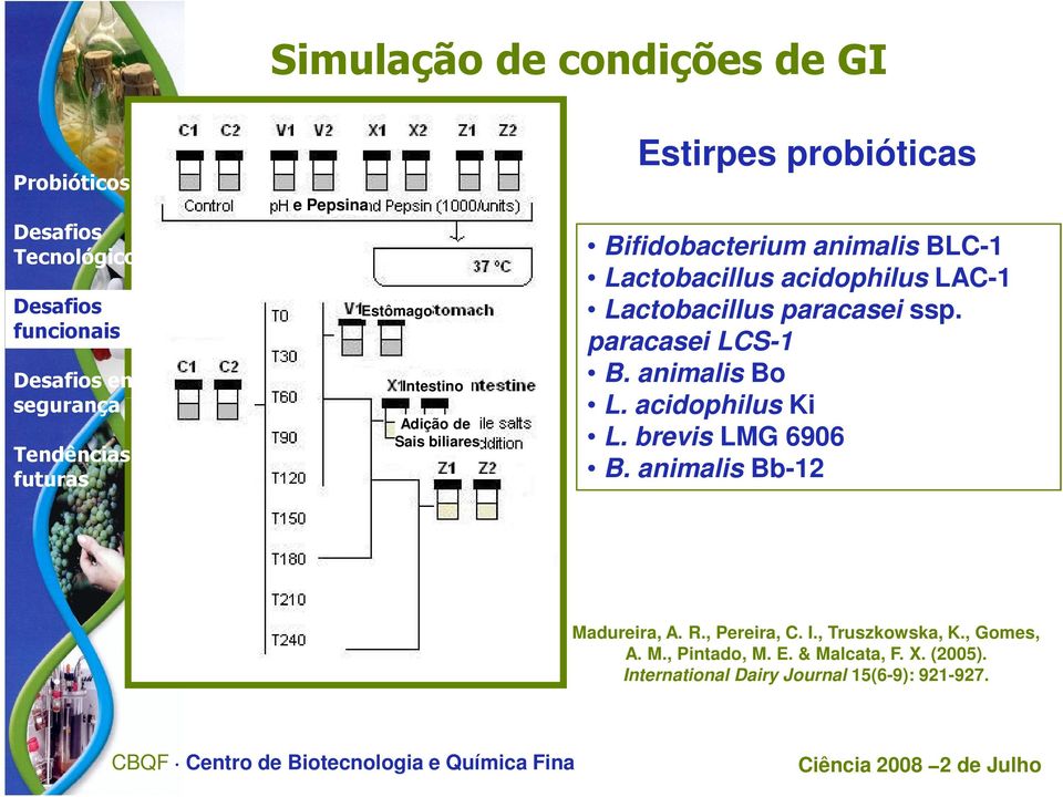 paracasei LCS-1 B. animalis Bo L. acidophilus Ki L. brevis LMG 6906 B. animalis Bb-12 Madureira, A. R.