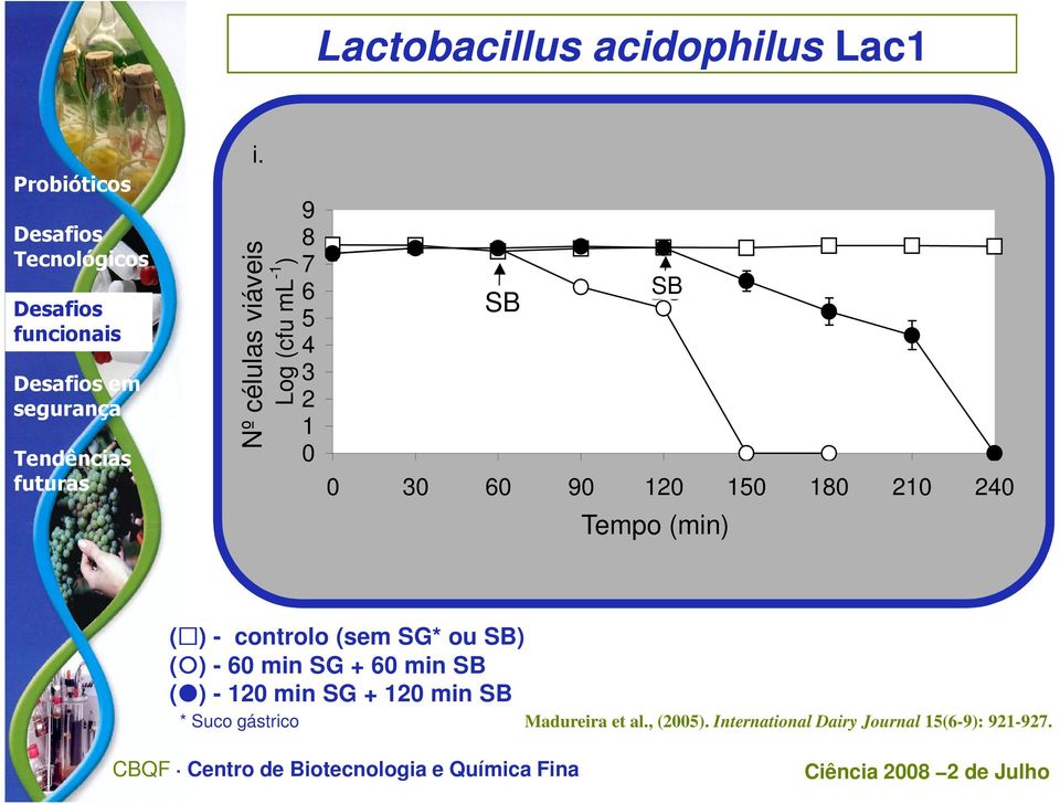 30 60 90 120 150 180 210 240 Tempo Time (min) ( ) - controlo (sem SG* ou SB) ( ) - 60