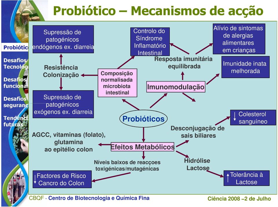 Composição normalisada microbiota intestinal Controlo do Síndrome Inflamatório Intestinal Efeitos Metabólicos Níveis baixos de reacçoes