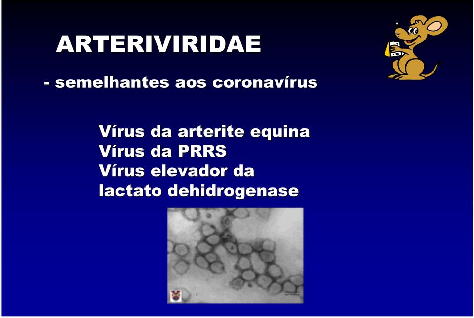 arterite equina Vírus da PRRS