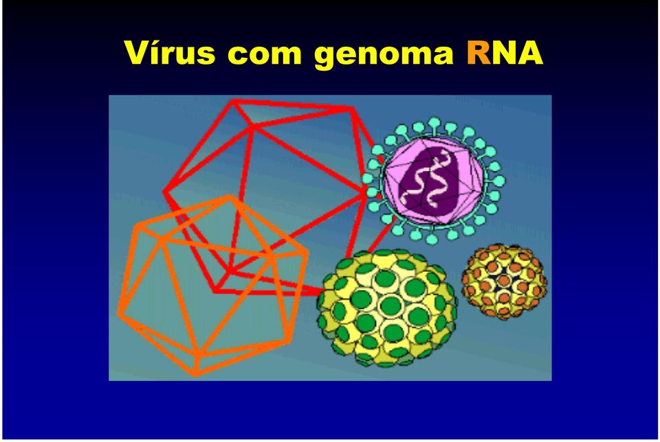 RNA