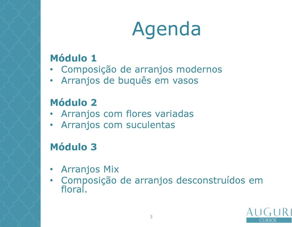 flores variadas Arranjos com suculentas Módulo 3