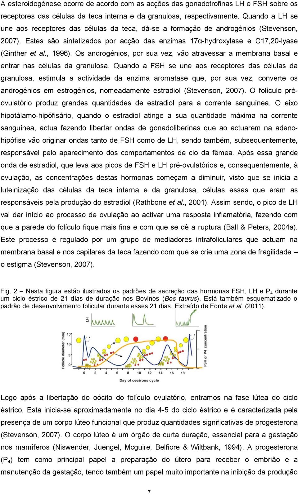 , 1996). Os androgénios, por sua vez, vão atravessar a membrana basal e entrar nas células da granulosa.