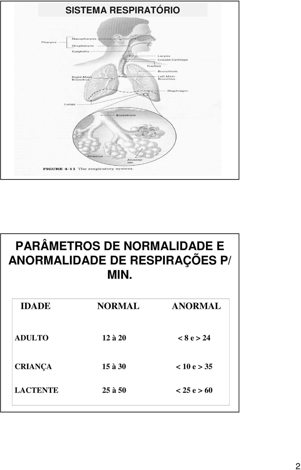 IDADE NORMAL ANORMAL ADULTO 12 à 20 < 8 e > 24