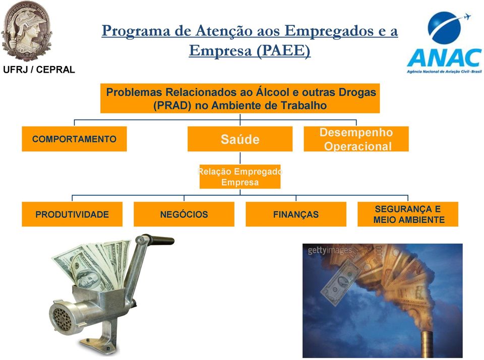 de Trabalho COMPORTAMENTO Saúde Relação Empregado Empresa Desempenho