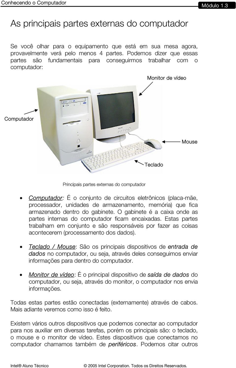 conjunto de circuitos eletrônicos (placa-mãe, processador, unidades de armazenamento, memória) que fica armazenado dentro do gabinete.