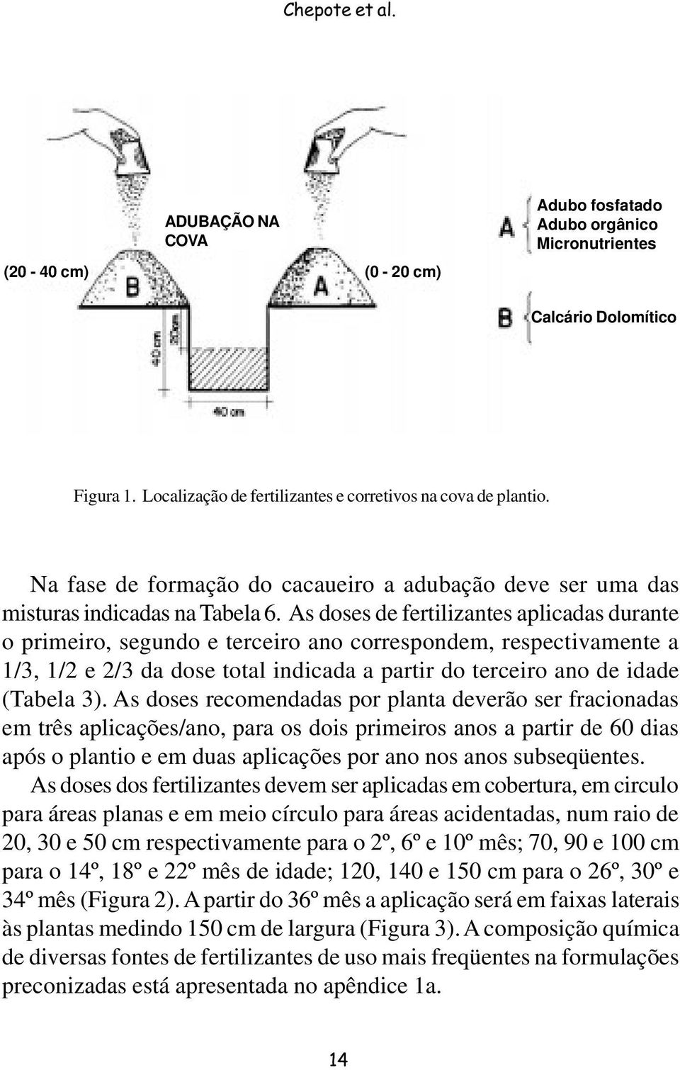 As doses de fertilizantes aplicadas durante o primeiro, segundo e terceiro ano correspondem, respectivamente a 1/3, 1/2 e 2/3 da dose total indicada a partir do terceiro ano de idade (Tabela 3).