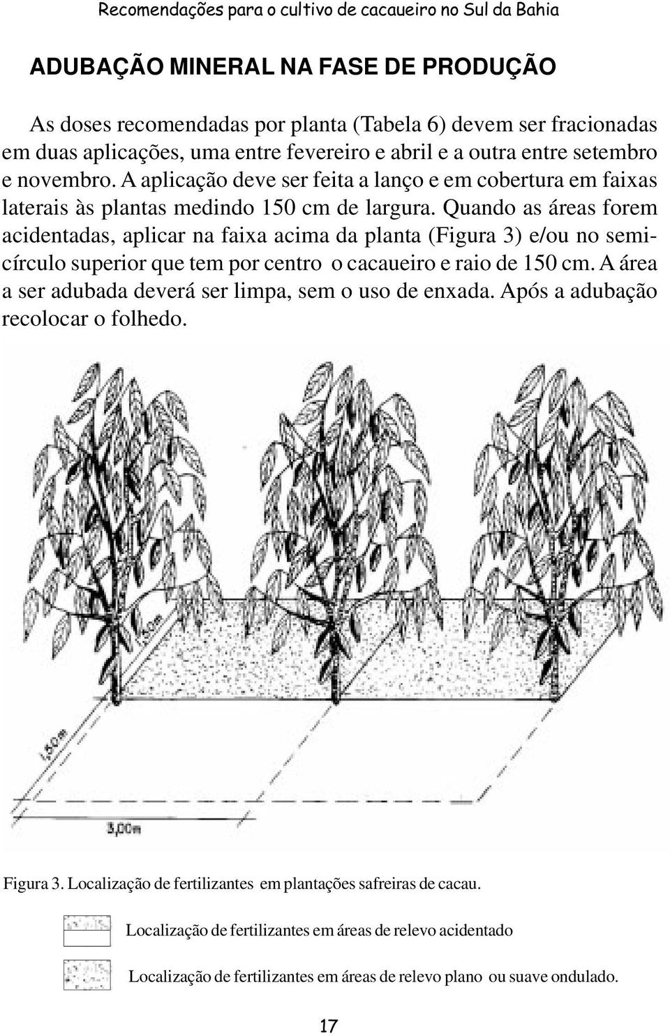 Quando as áreas forem acidentadas, aplicar na faixa acima da planta (Figura 3) e/ou no semicírculo superior que tem por centro o cacaueiro e raio de 150 cm.