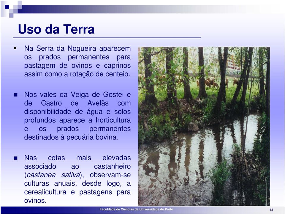 Nos vales da Veiga de Gostei e de Castro de Avelãs com disponibilidade de água e solos profundos aparece a