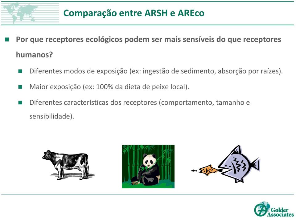 Diferentes modos de exposição (ex: ingestão de sedimento, absorção por raízes).