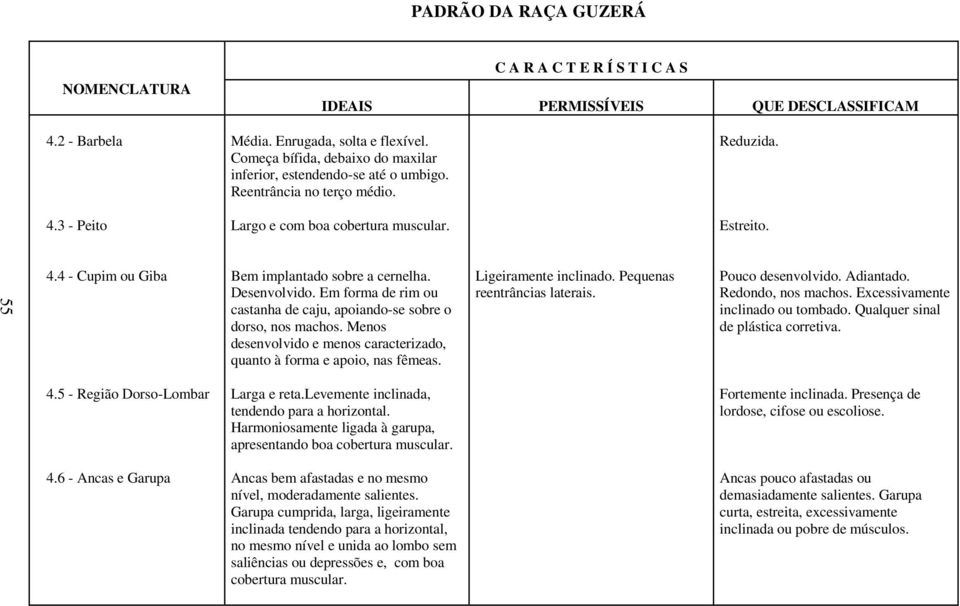 Menos desenvolvido e menos caracterizado, quanto à forma e apoio, nas fêmeas. Ligeiramente inclinado. Pequenas reentrâncias laterais. Pouco desenvolvido. Adiantado. Redondo, nos machos.