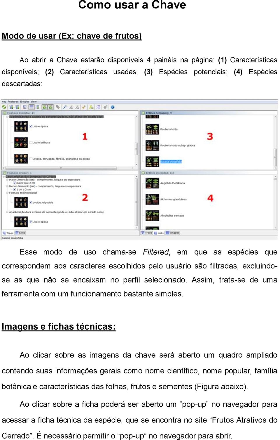 selecionado. Assim, trata-se de uma ferramenta com um funcionamento bastante simples.