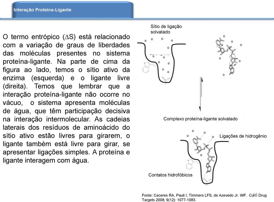 Temos que lembrar que a interação proteína-ligante não ocorre no vácuo, o sistema apresenta moléculas de água, que têm participação decisiva na interação intermolecular.