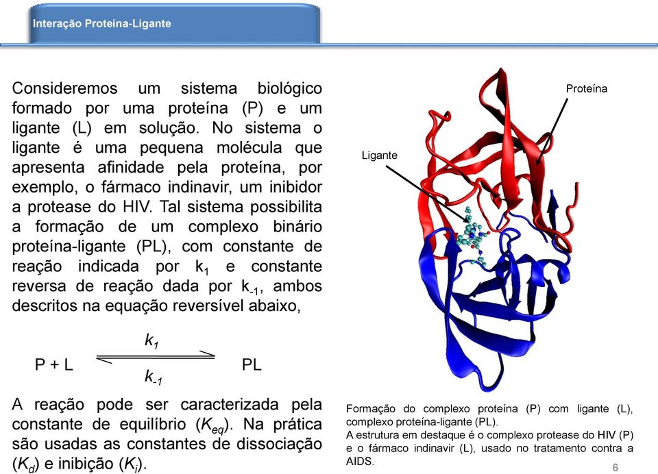 Tal sistema possibilita a formação de um complexo binário proteína-ligante (PL), com constante de reação indicada por k 1 e constante reversa de reação dada por k -1, ambos descritos na equação