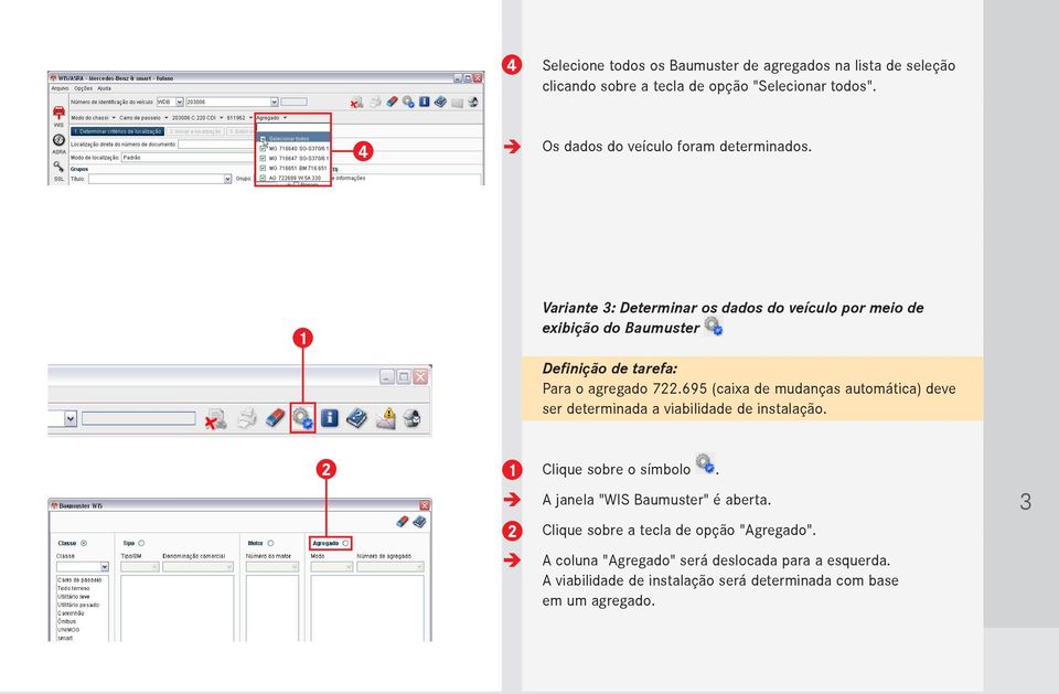 0 Variante : Determinar os dados do veículo por meio de exibição do Baumuster Definição de tarefa: Para o agregado.