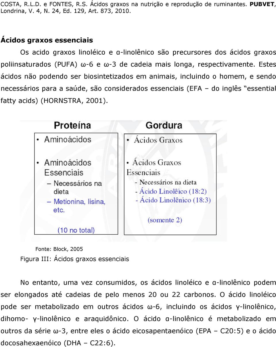 Fonte: Block, 2005 Figura III: Ácidos graxos essenciais No entanto, uma vez consumidos, os ácidos linoléico e α-linolênico podem ser elongados até cadeias de pelo menos 20 ou 22 carbonos.