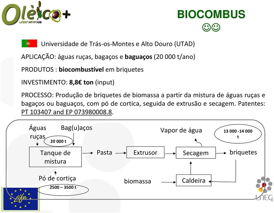 de águas ruças e bagaços ou baguaços, com pó de cortica, seguida de extrusão e secagem. Patentes: PT 103407 and EP 073980