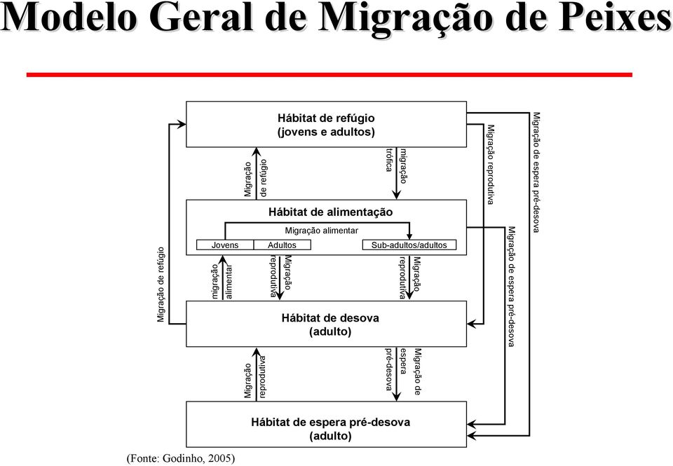 Jovens Adultos Sub-adultos/adultos Migração reprodutiva Migração reprodutiva alimentar migração Migração de refúgio