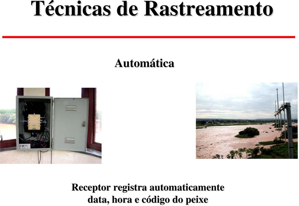 registra automaticamente