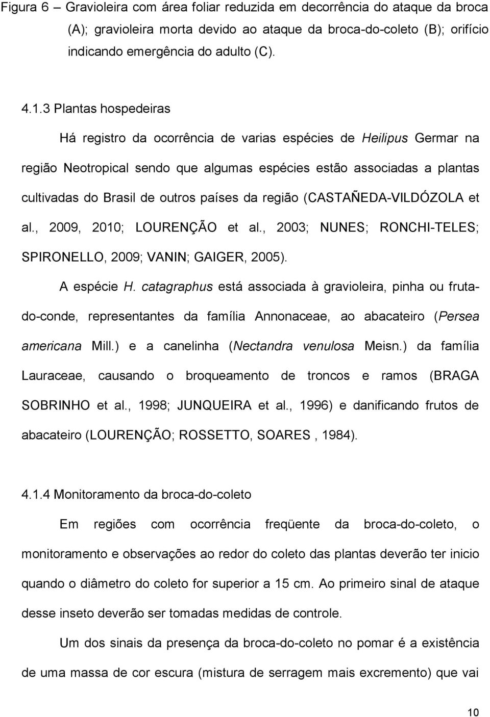 3 Plantas hospedeiras Há registro da ocorrência de varias espécies de Heilipus Germar na região Neotropical sendo que algumas espécies estão associadas a plantas cultivadas do Brasil de outros países