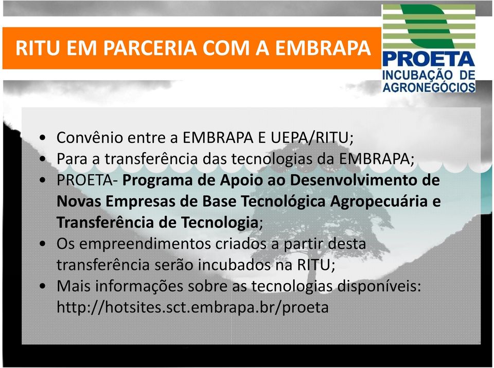 Tecnológica Agropecuária e Transferência de Tecnologia; Os empreendimentos criados a partir desta