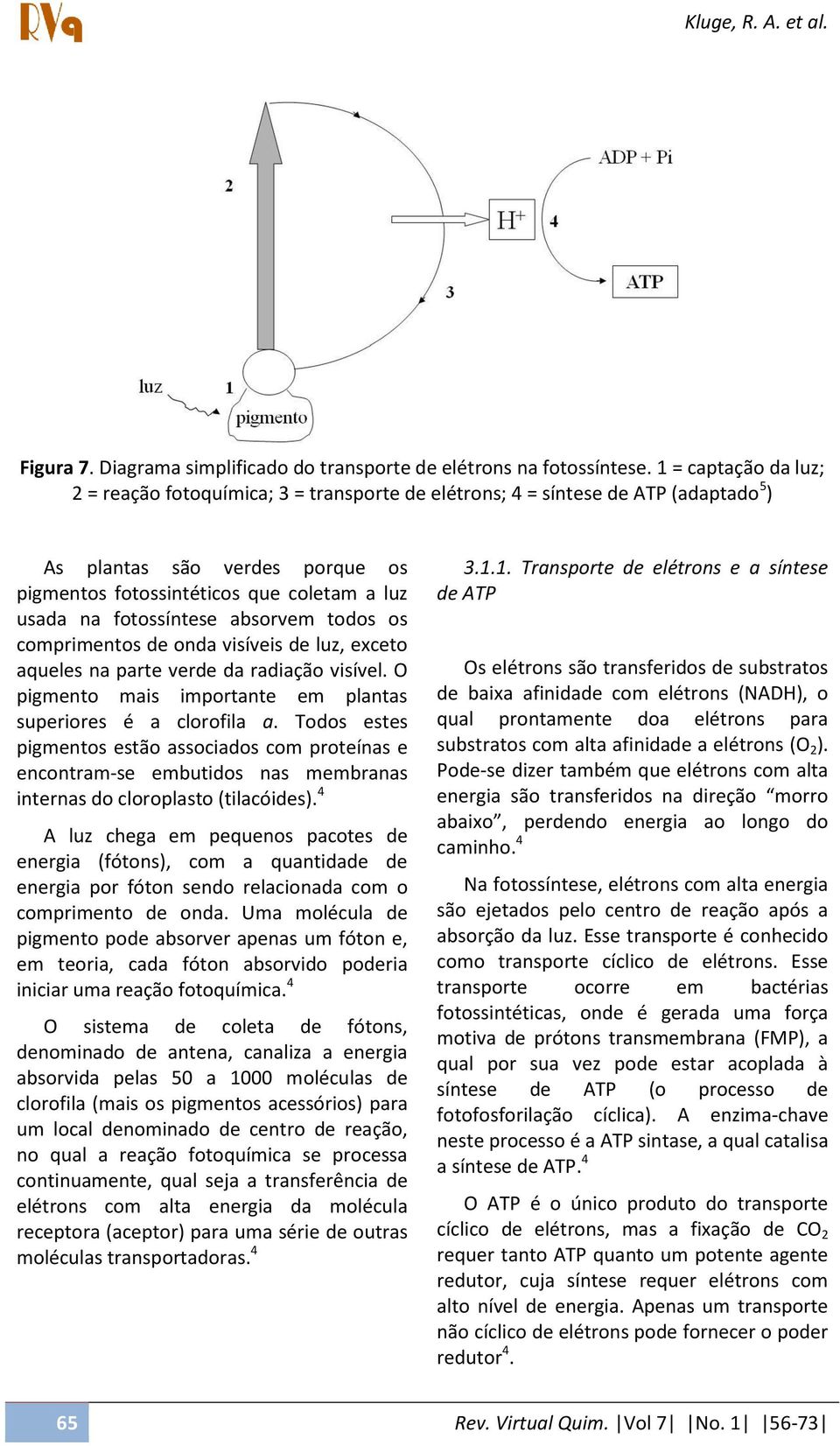 fotossíntese absorvem todos os comprimentos de onda visíveis de luz, exceto aqueles na parte verde da radiação visível. O pigmento mais importante em plantas superiores é a clorofila a.