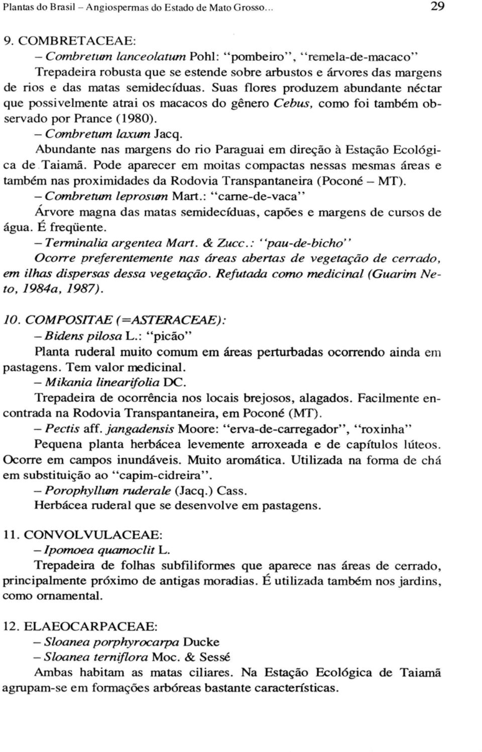 Suas flores produzem abundante néctar que possivelmente atrai os macacos do gênero Cebus, como foi também observado por Prance (1980). - Combretwn la.xum Jacq.