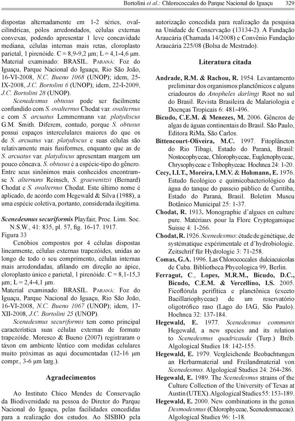 mediana, células internas mais retas, cloroplasto parietal, 1 pirenóide. C = 8,9-9,2 μm; L = 4,1-4,6 μm. 16-VI-2008, N.C. Bueno 1068 (UNOP); idem, 25- IX-2008, J.C. Bortolini 6 (UNOP); idem, 22-I-2009, J.