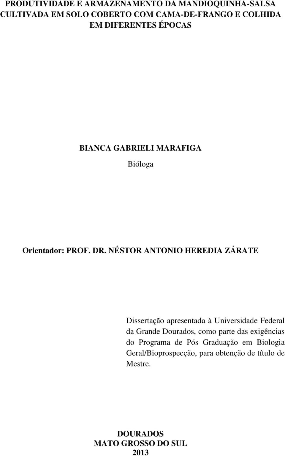 NÉSTOR ANTONIO HEREDIA ZÁRATE Dissertação apresentada à Universidade Federal da Grande Dourados, como parte