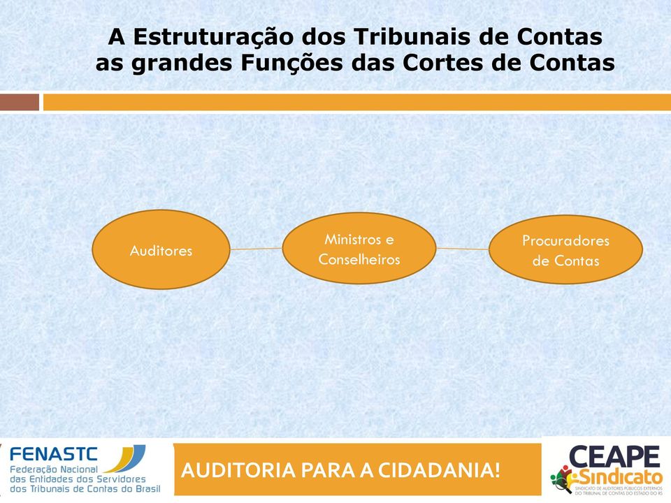 Cortes de Contas Auditores