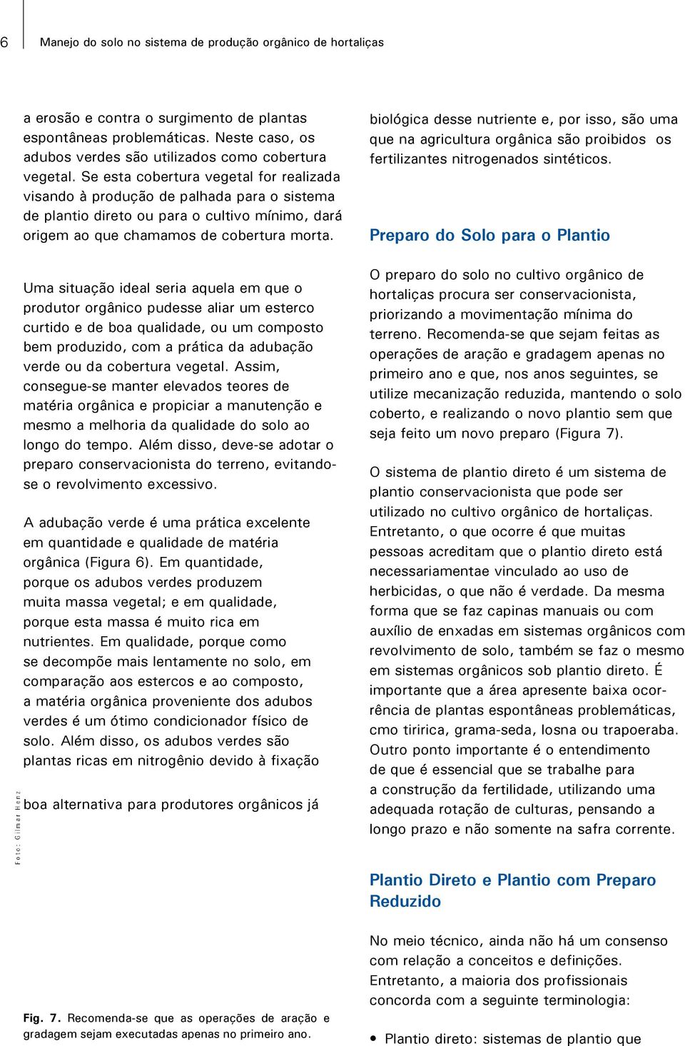 Uma situação ideal seria aquela em que o produtor orgânico pudesse aliar um esterco curtido e de boa qualidade, ou um composto bem produzido, com a prática da adubação verde ou da cobertura vegetal.