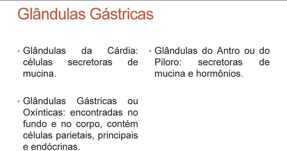 Glândulas do Antro ou do Piloro: secretoras de mucina e