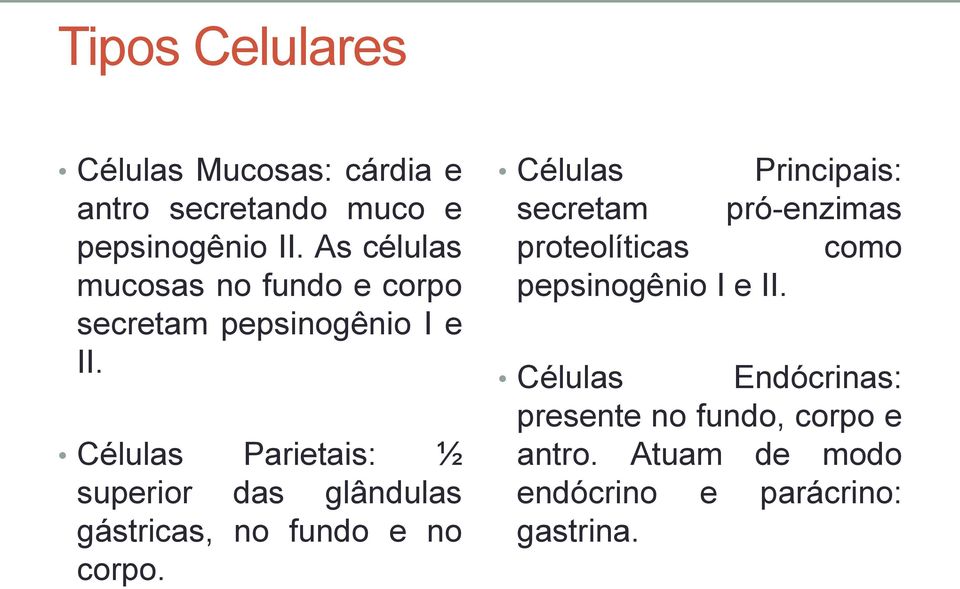 Células Parietais: ½ superior das glândulas gástricas, no fundo e no corpo.