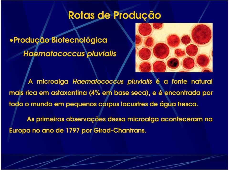 seca), e é encontrada por todo o mundo em pequenos corpus lacustres de água fresca.